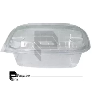 ظرف دلی پرشیا 1000cc کد 3218