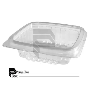 ظرف دلی پرشیا 200cc کد 3222